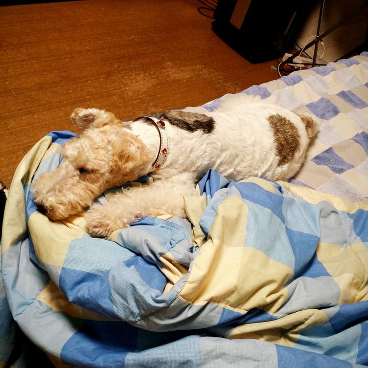 2e283eea 3b7e 491a 8fe1 759d00d69d9b