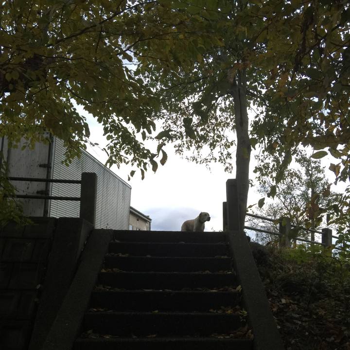 2e285bc1 23dd 4eb7 bd2c 512f4a58eaa6