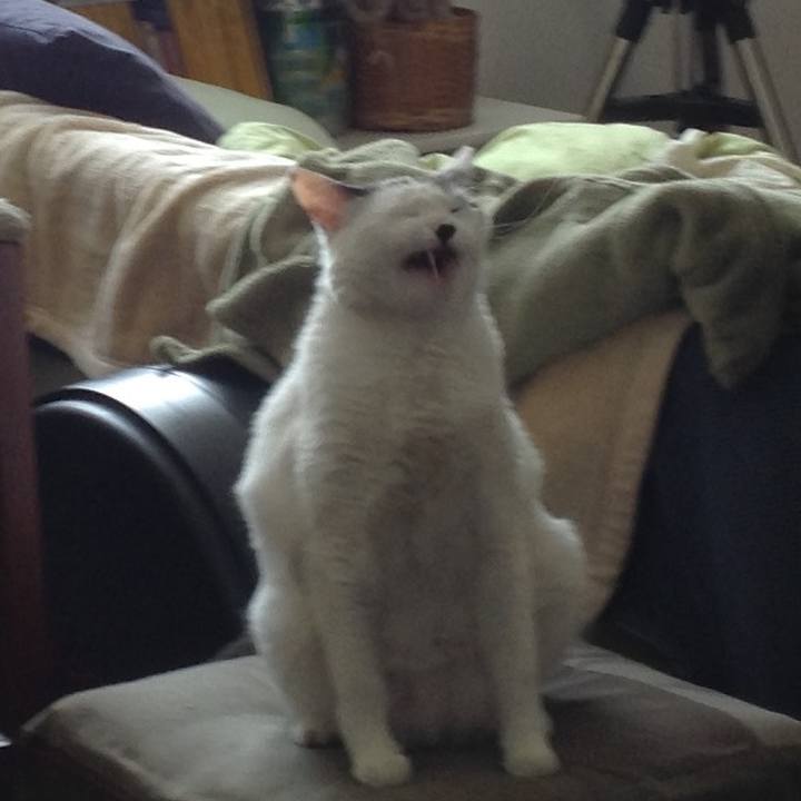 2e296336 37d7 48e5 aef8 710f11982898