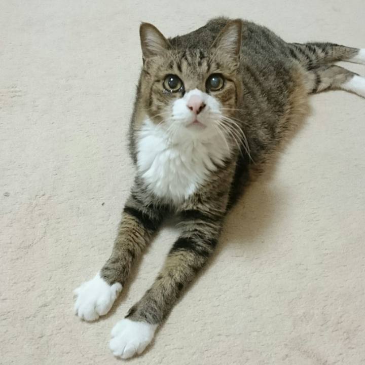 2e29728a 32bf 4a7e af97 e1af6f88a5e1