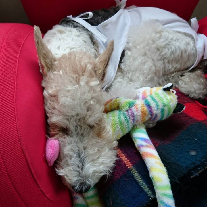 2e297b99 17f7 43b2 94d3 b1f348ffd2d8