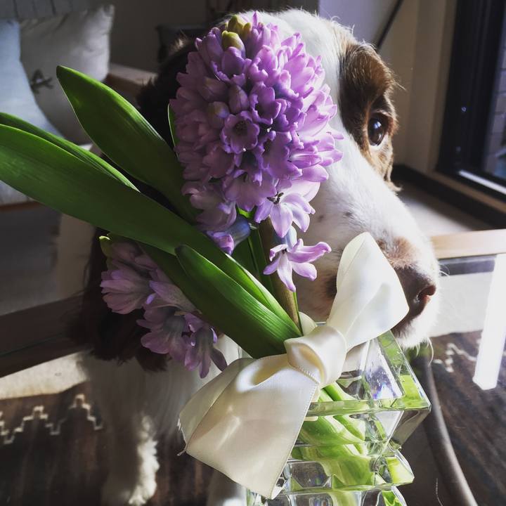 2e29a2e5 548b 4ad8 897b 9b6b1538fe4c