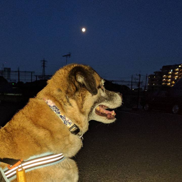 2e29c5e0 83ff 4f0e 9492 4b164be7a207