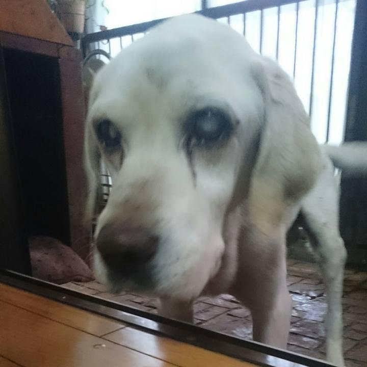 2e29e789 8fc6 4fb9 95d8 dd31f40805da