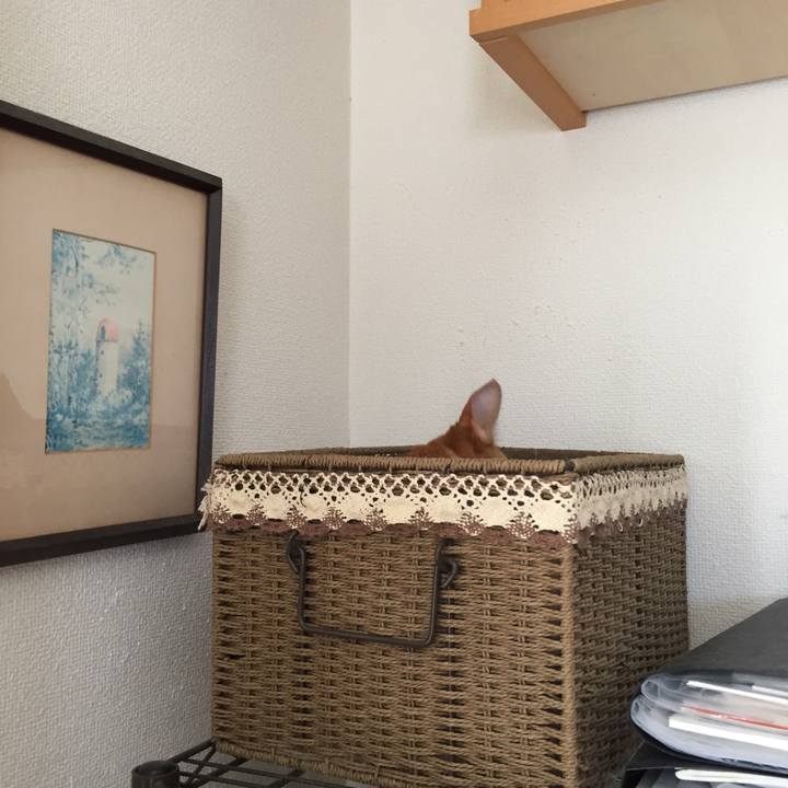 2e2a2eb7 53ed 4bf4 8530 736c6944d489