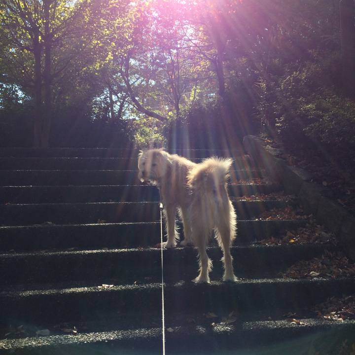 2e2a8e96 a869 4d8d a356 6e25a9062242