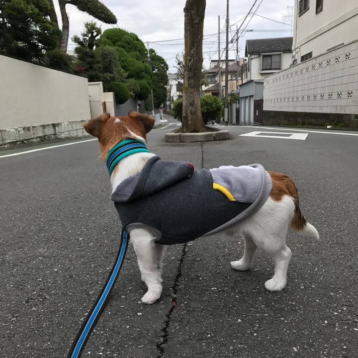 2e2a965f c6e3 4606 b5df 3686144a608d