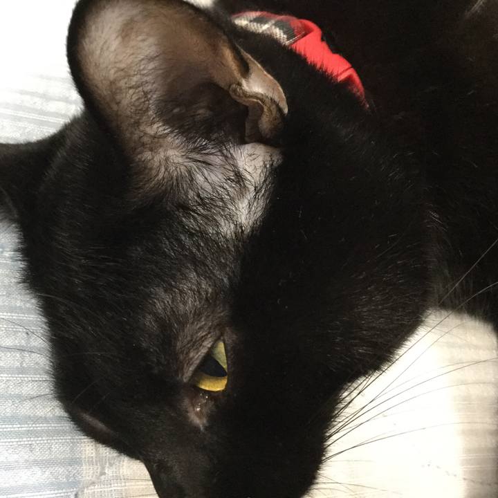 2e2aa2be aadc 44a5 9f5c 611f5d8adc0d