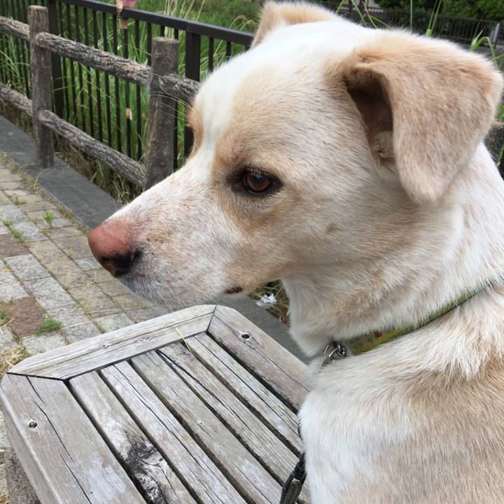 2e2aab92 31e1 4cf1 8957 fc1200d2df3a