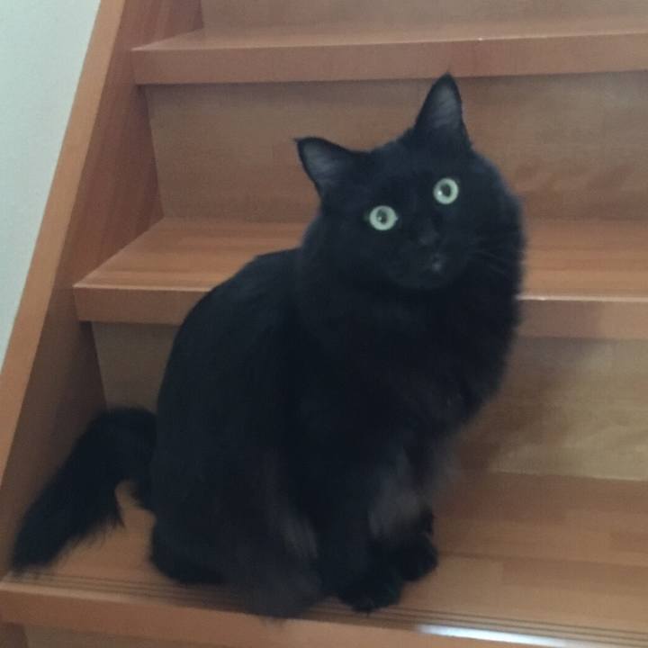 2e2b4bb3 7ffb 4132 a58c 2392559fcb96