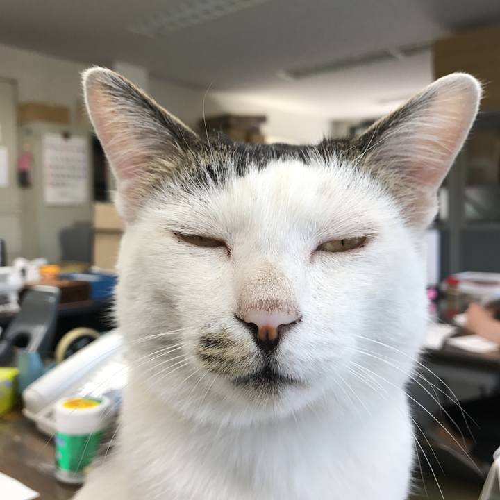 2e2b91f9 26b3 4e04 afee dce2d9821d43