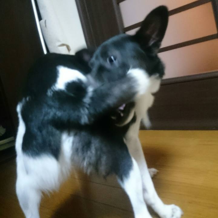 2e2bb87e 5984 4d20 8b0e 4114f699cf57