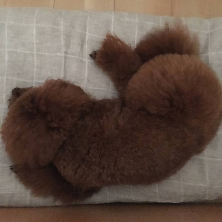 2e2c5d1d bc05 4292 831a b43766d37d1f