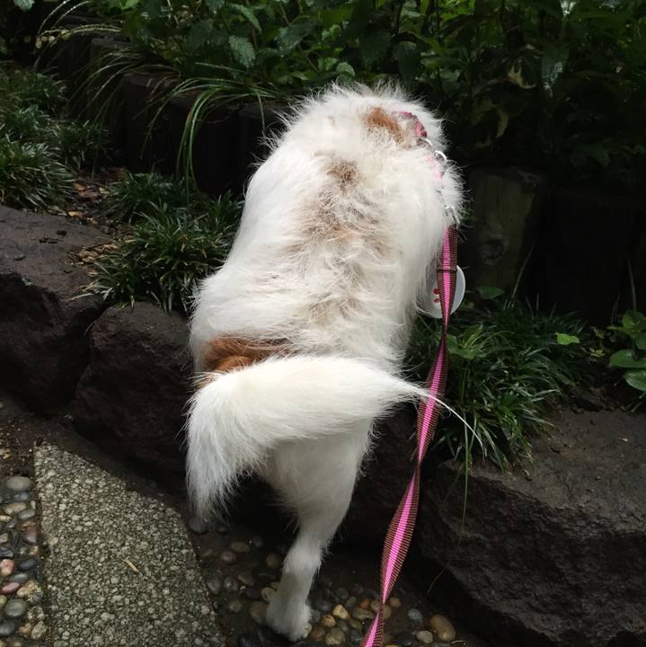 2e2c855c 6dfe 40f7 b10f 1b2a9587118f