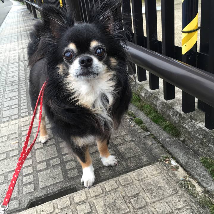 2e2cc703 7ef8 41d7 82b5 57eff7b527c9