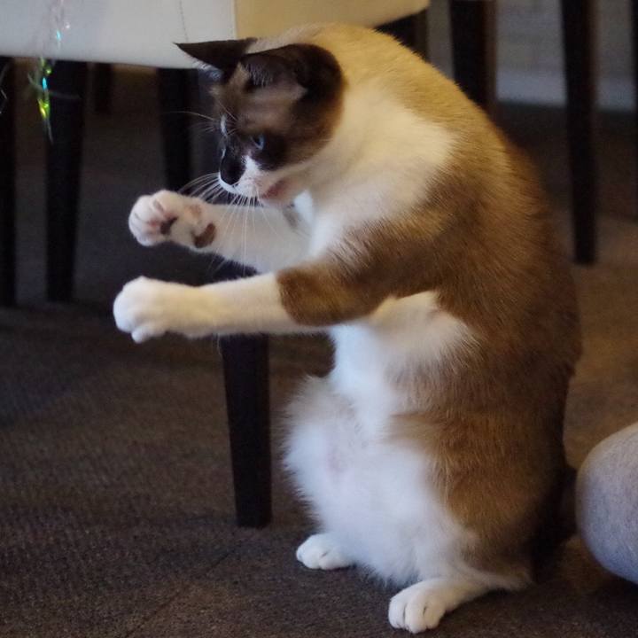 2e2e1afd 10de 4c2f 84f0 393d08dad616