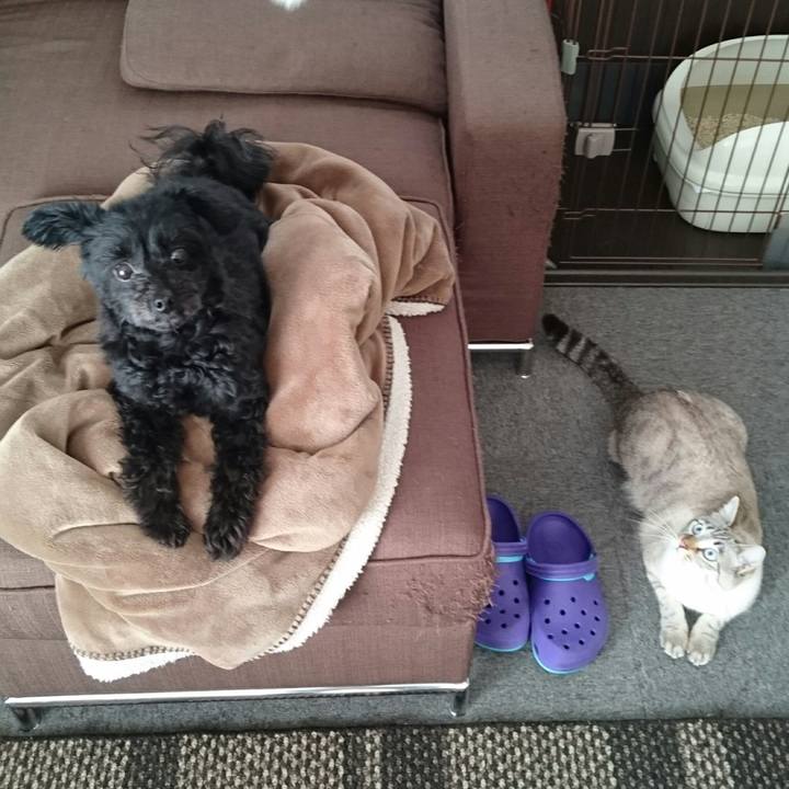 2e2e3b69 490f 46bb 93f8 bbc4924015ca