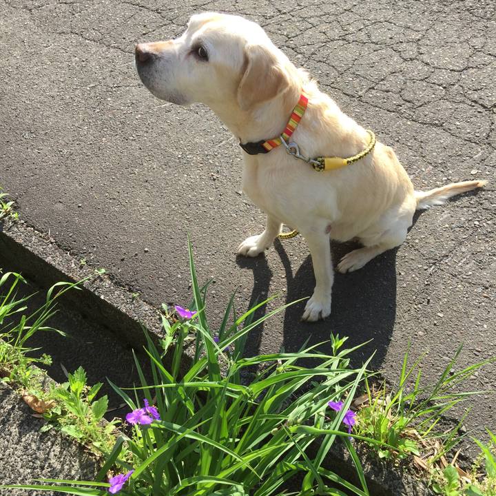 2e2e3ddd 4b0b 4701 aed0 b2de58ef946c