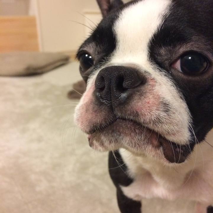 2e2e4aa5 cd8d 470b 984f 0e7edffbcfee