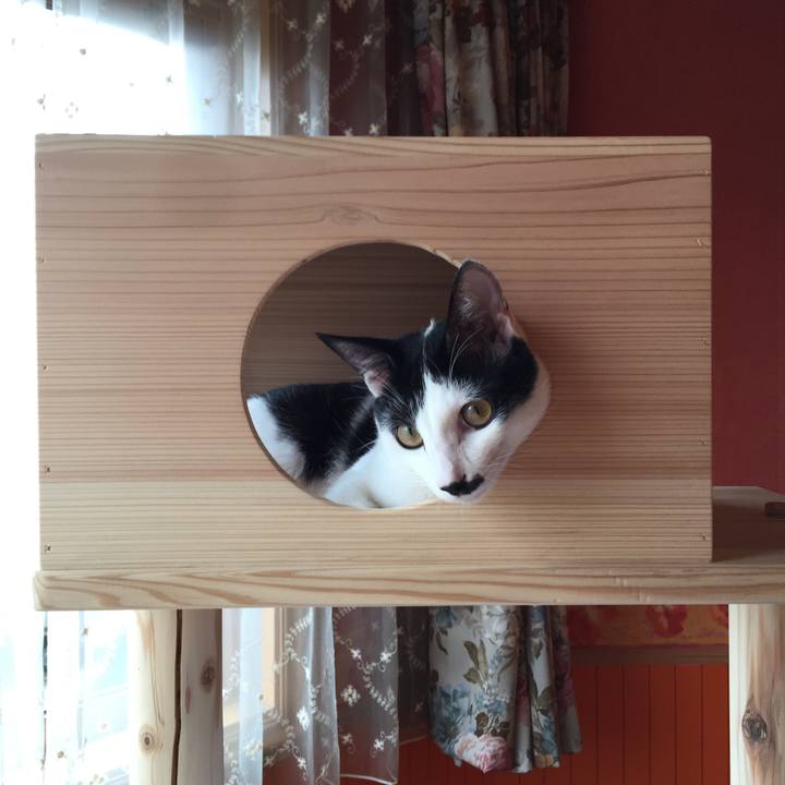 2e2e942d 6562 443d 84eb 099954c09b31