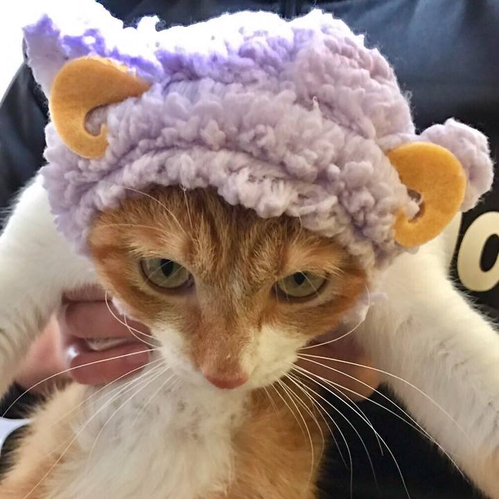 2e2edf27 c4e0 45c0 8e74 6a5a51766680