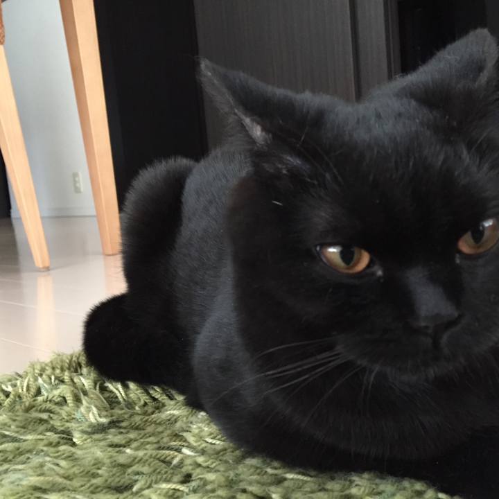 2e2f5012 8a57 4103 982c b8f895762d7c