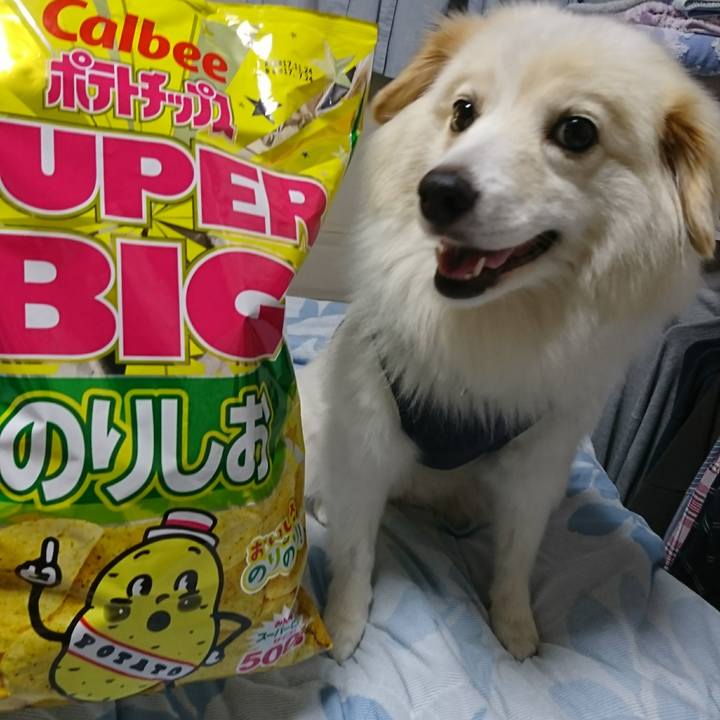 2e2f9532 dc3c 45de bf02 08a3d6015f54