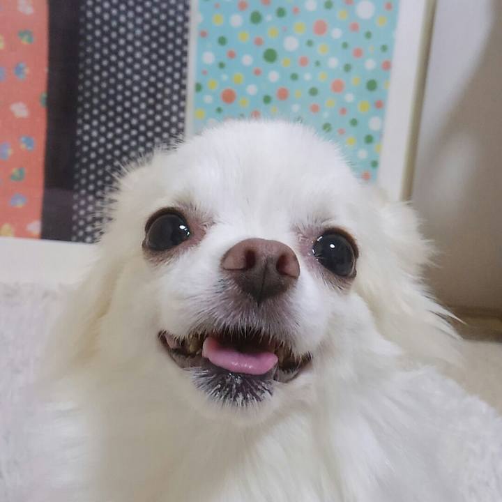 2e30c24d 53aa 42cd a274 d7b629689b89