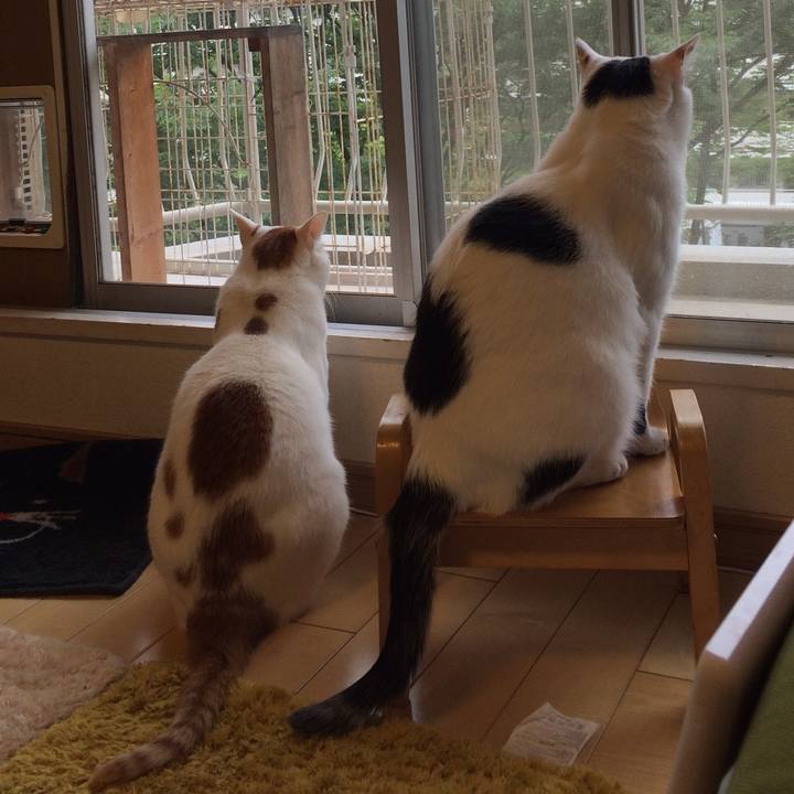 2e30ffcd de94 4160 aa24 3ba30578d156