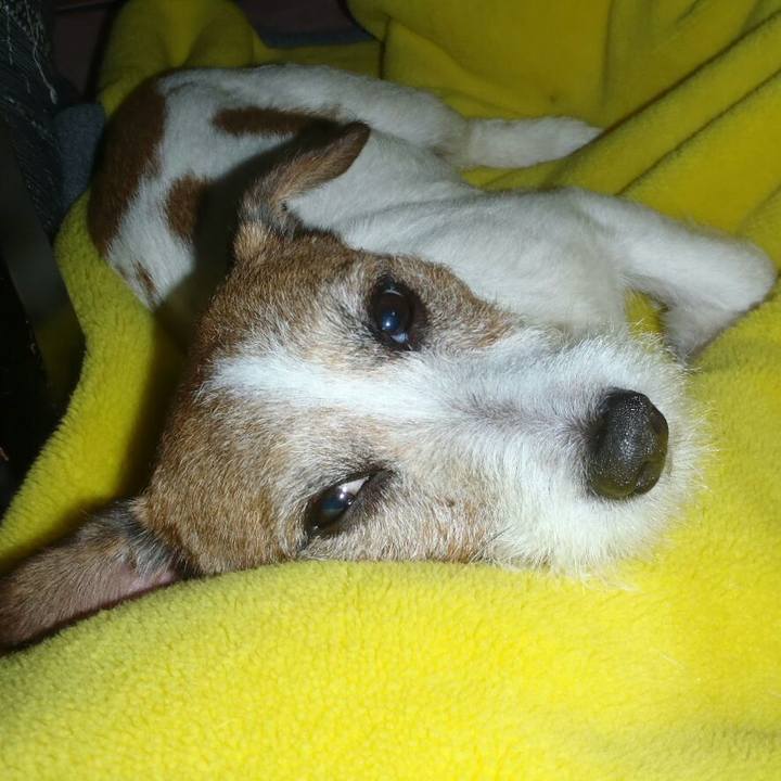 2e3122d9 ea12 41ef 975f 4ad193dc4693