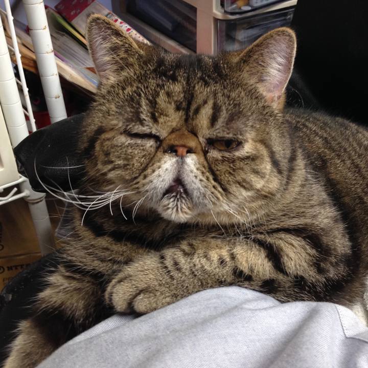 2e321055 a5ce 464f b1a3 795ae2d3916d