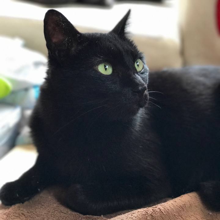 2e32d3eb c847 4862 a9aa a29ed2720c1c