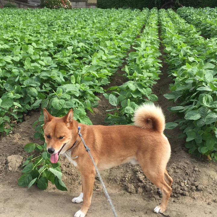 2e330140 b80e 4beb 9d2d ca71c119534b