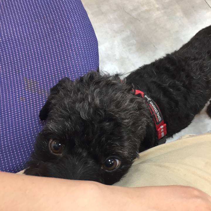 2e333720 5074 4f3e bb69 bfd482e1561e