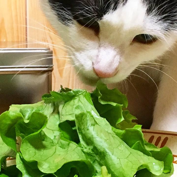 2e3440a6 e0ec 4b2d 9a6e 39ba5c36cb89