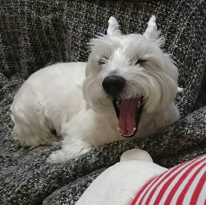 2e3448a8 767f 4009 8e4b 2ea9a168d1c3