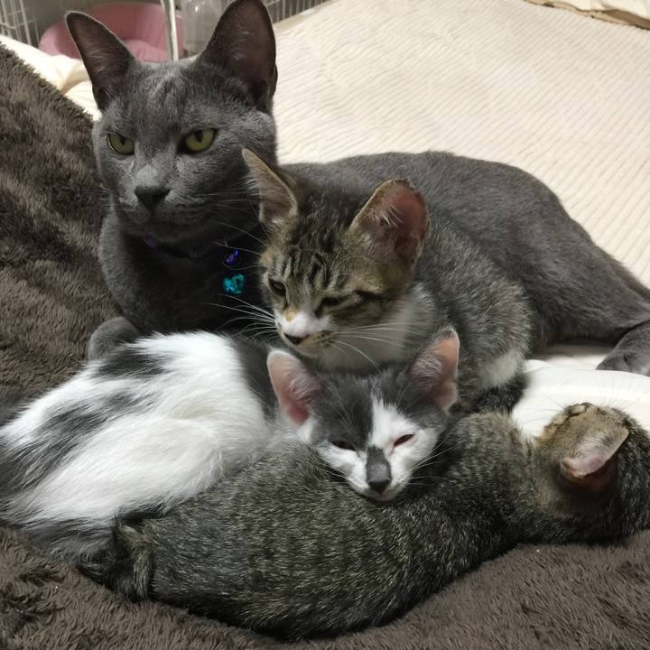 2e34ac4e c70b 4a16 b982 aea723647d90