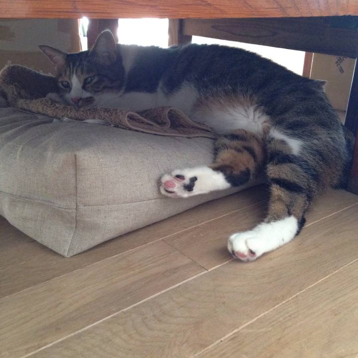 2e34ce06 c392 4b96 af5b 472642b9ebdc