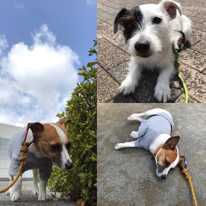 2e35068b 95fd 4b7f ab95 781157b7952b