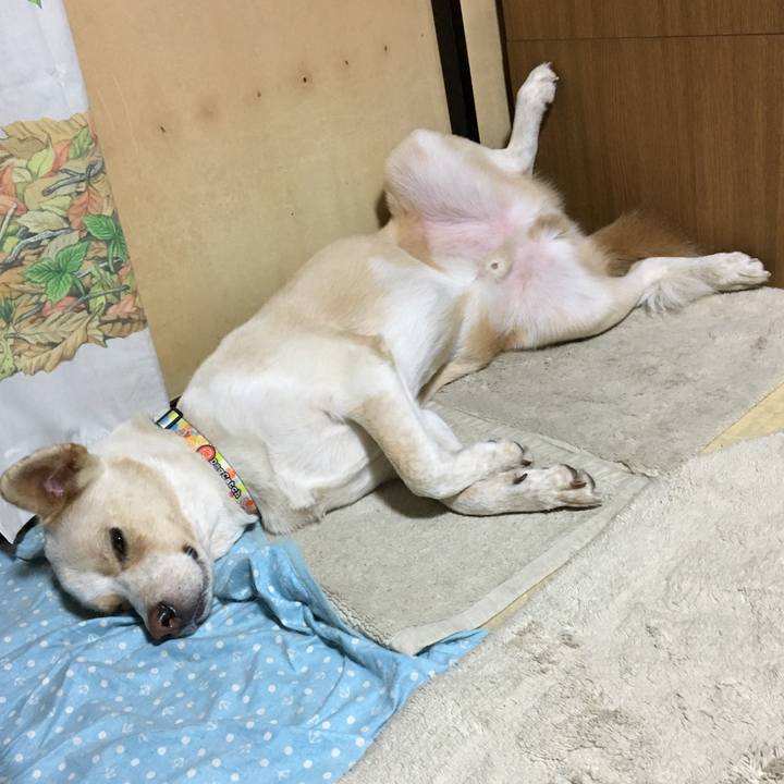 2e354876 6eb3 412f b62a 67effebe9d91