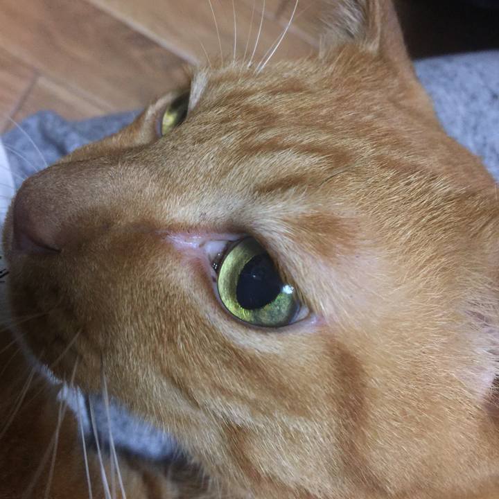 2e35a1aa 4c00 4338 b017 9454e5ca0975