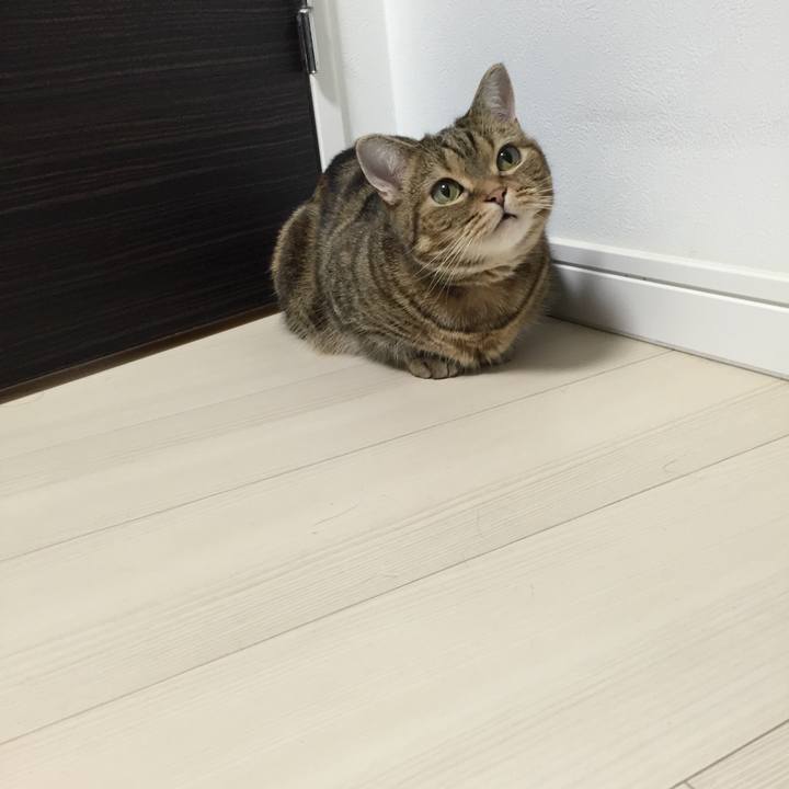 2e35bf73 5f35 44be 8e58 1d0ce51933d8