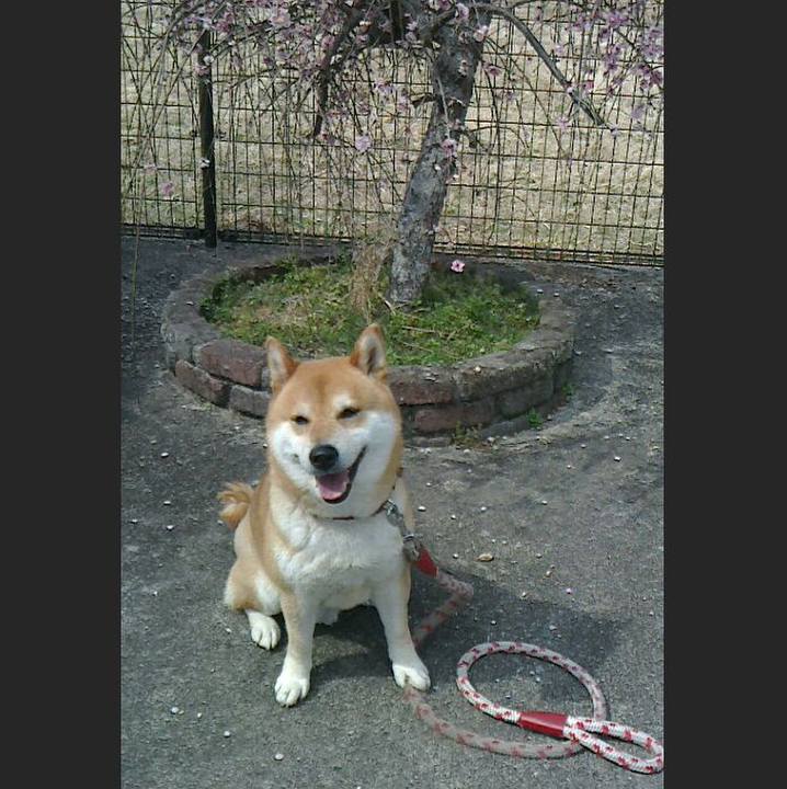 2e3608c6 7de5 457e a6cc 7522dc8a2299