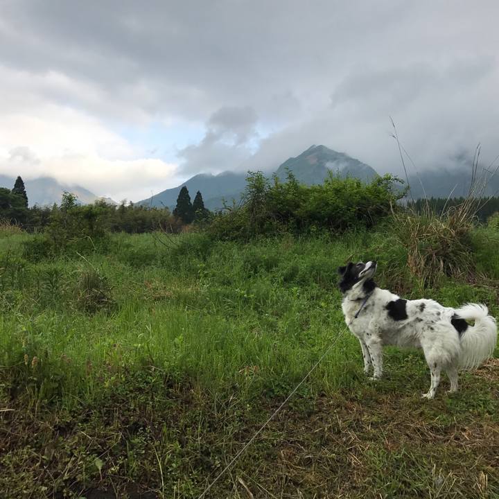 2e36279e edd7 4412 b644 98c3936561c4