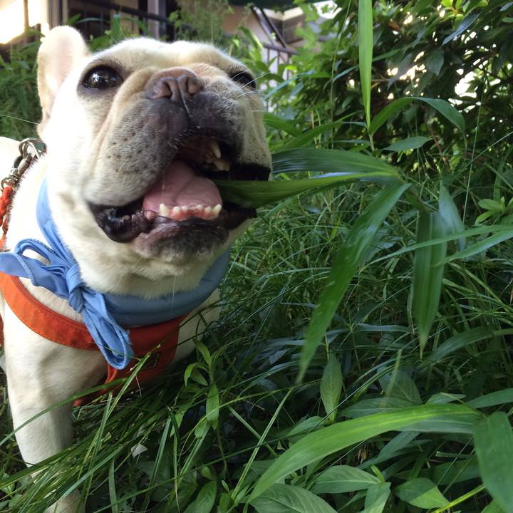 2e366379 50a4 4a1d bde7 70cae52e721f