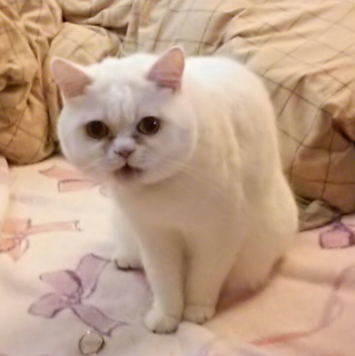 2e36c5e3 b374 4884 bfda 9f121ef4d92b