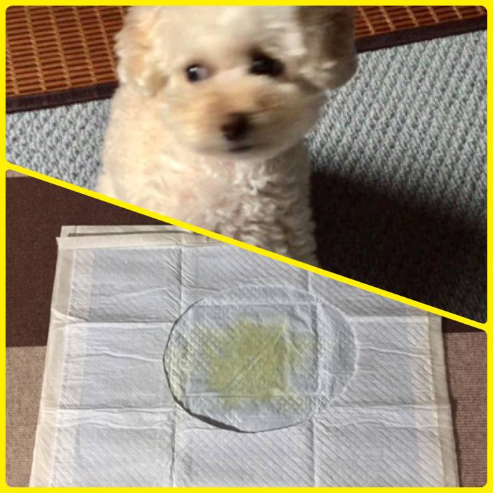 2e36f2a2 c20f 442d ae54 0b6a2a0598a9