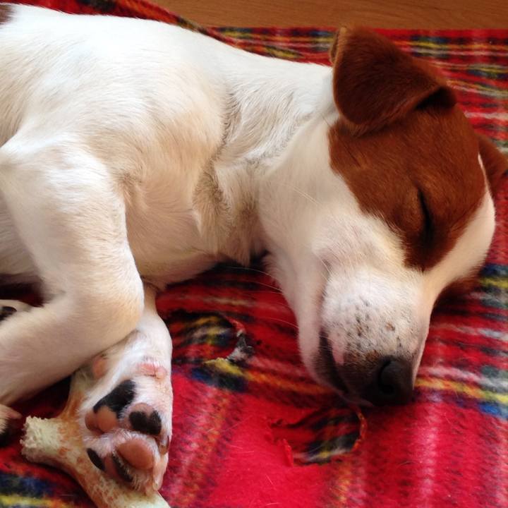 2e370c97 3f28 4fc4 8d6a b9d02dd5b53e