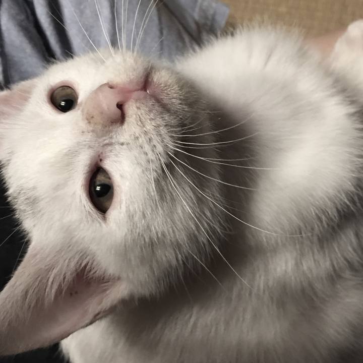 2e386549 e8d9 49df a151 c8b8e4dbfef6