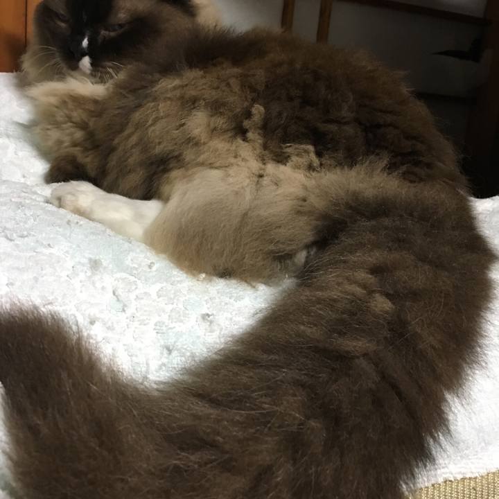 2e387bef f77a 471f 9f4e 78fbc94ceabf